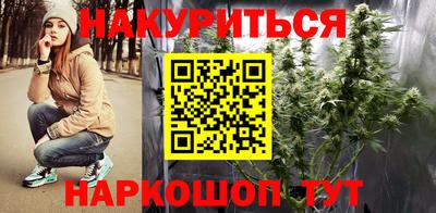 Альфа ПВП Гатчина